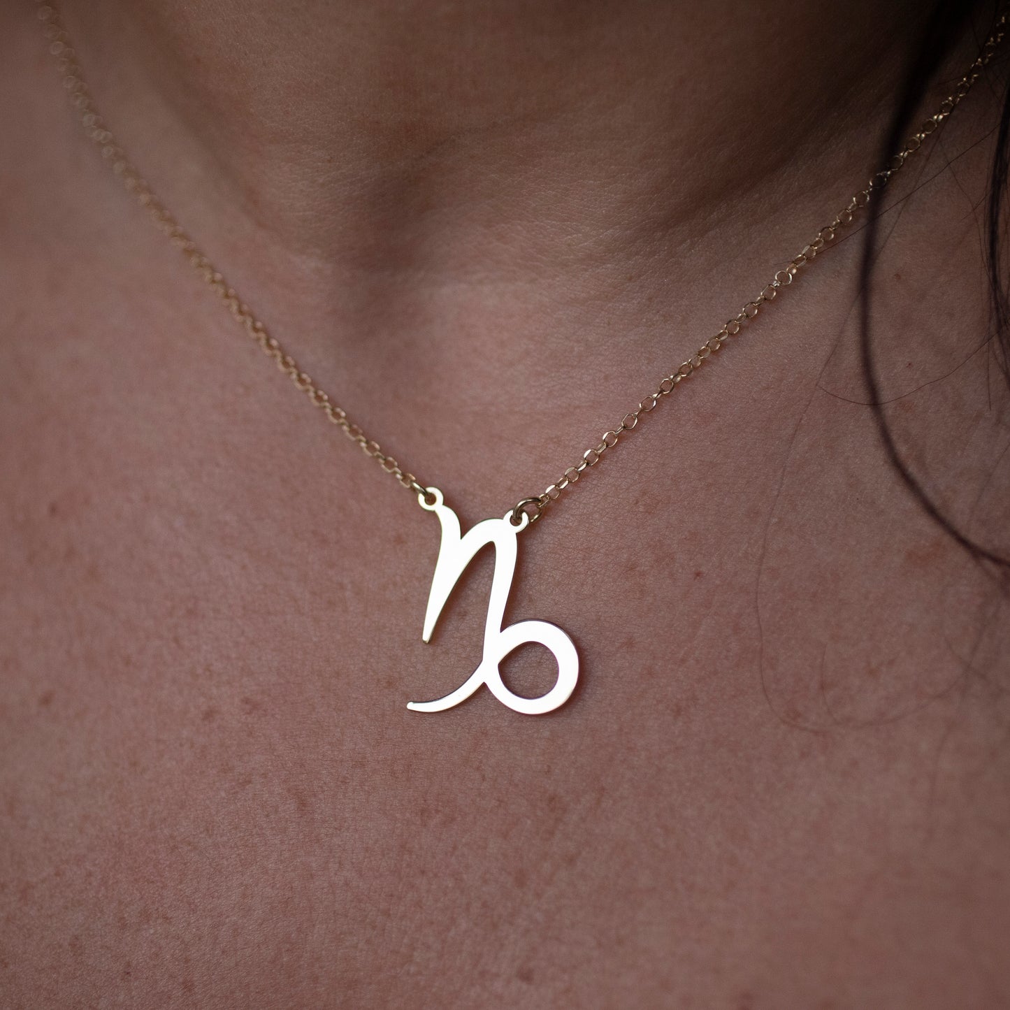 COLLANA ZODIACO